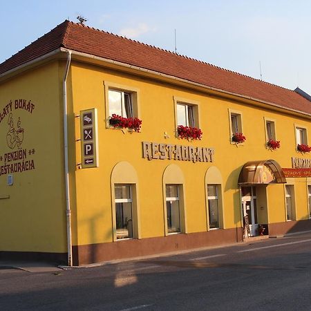 Penzion Zlaty Dukat Otel Zvolenská Slatina Dış mekan fotoğraf